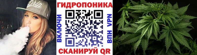ОМГ ОМГ вход  darknet Telegram  Бошки Шишки ГИДРОПОН  Нижний Тагил 